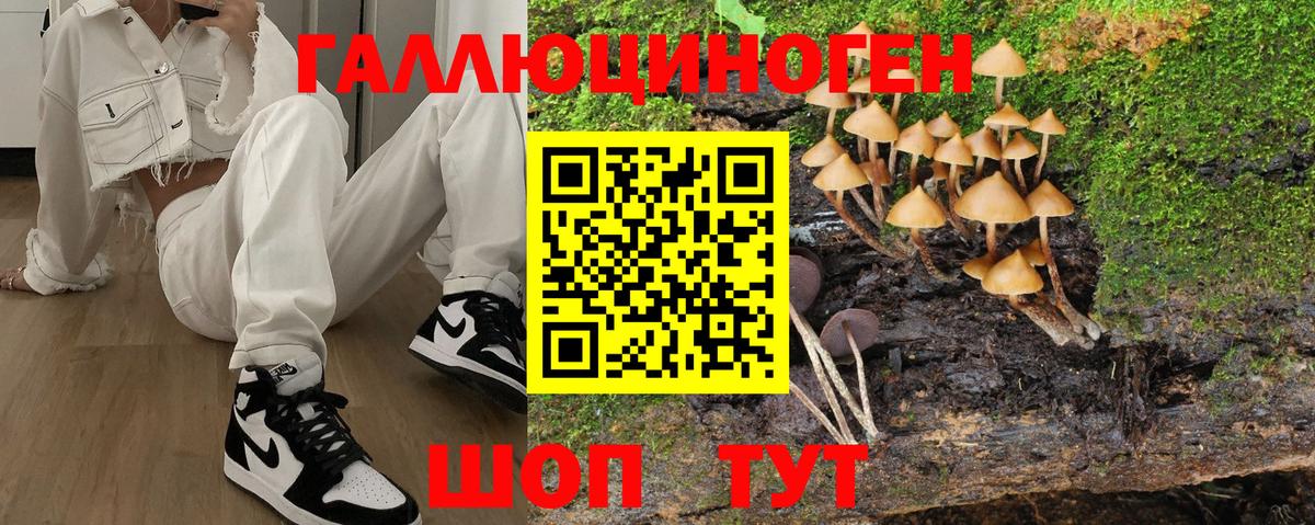 Галлюциногенные грибы Psilocybe Минеральные Воды