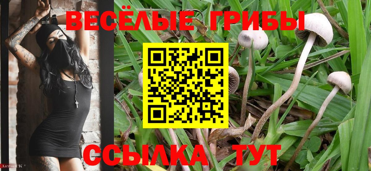 Галлюциногенные грибы Magic Shrooms  Вход с VPN  Минеральные Воды 